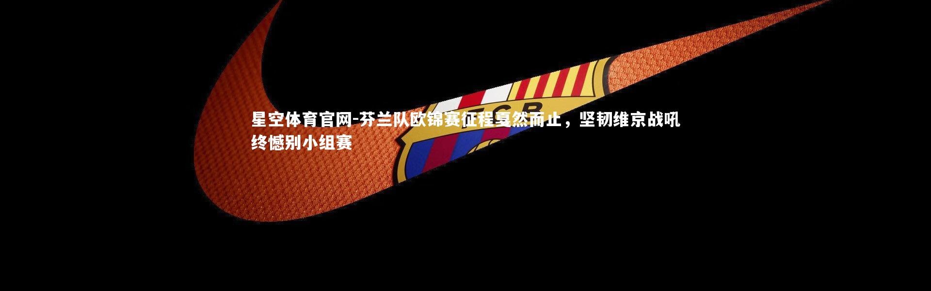 星空体育官网-芬兰队欧锦赛征程戛然而止，坚韧维京战吼终憾别小组赛