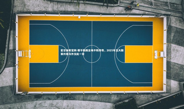 星空体育官网-那不勒斯主场不败传奇，2025年五大联赛升班马外仅此一家