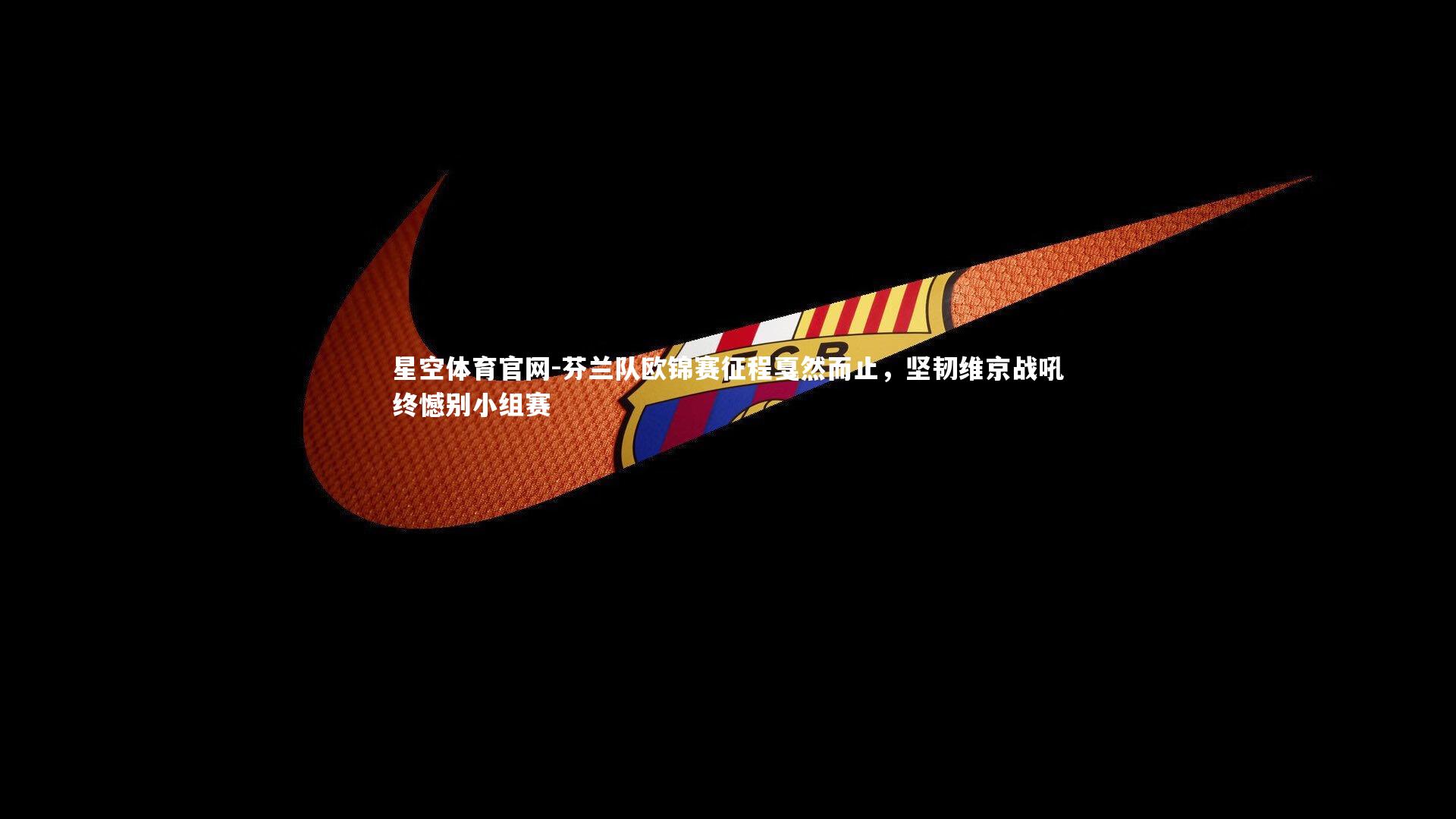 芬兰队欧锦赛征程戛然而止，坚韧维京战吼终憾别小组赛